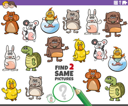 find two same cartoon pets educational activity