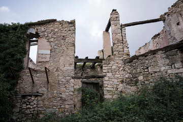 Abandoned Farmhouse in Ruins Amidst Overgrown Greenery with Forest and Mountains in the Background on a Cloudy Day