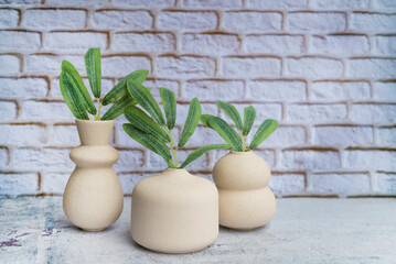 Set of vases with green plants , Scandinavian interior style