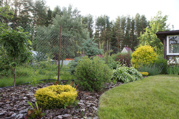 Flower Bed in the garden. Various deciduous plants, spruce and lawn near the summer house. ...