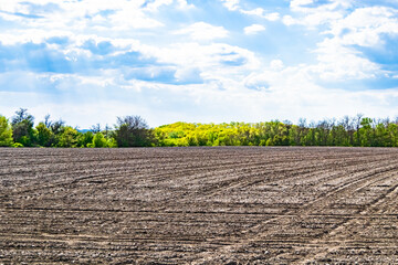 Photography on theme big empty farm field for organic harvest