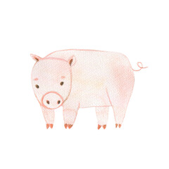 Watercolor illustration of farm animals. Cartoon drawing of a pig