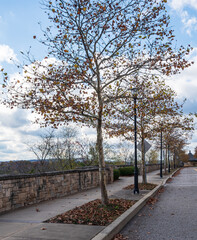 A fall street scene in the Summerset neighborhood in Pittsburgh, Pennsylvania, USA on a sunny fall day
