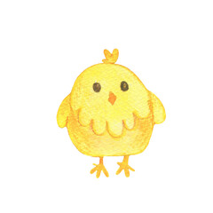 Cartoon farm animals isolated on white background. Watercolor drawing of funny chicken. Little chicken