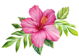 Tropical flora isolated background, hibiscus and palm leaf, Beautiful watercolor plants, leaves and pink flowers  © Hanna