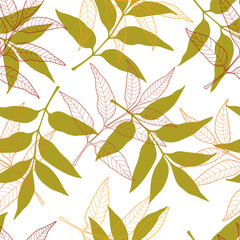 Autumn vector seamless pattern with bright color leaf outlines and silhouettes.