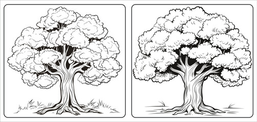 Tree  coloring book pages for kids