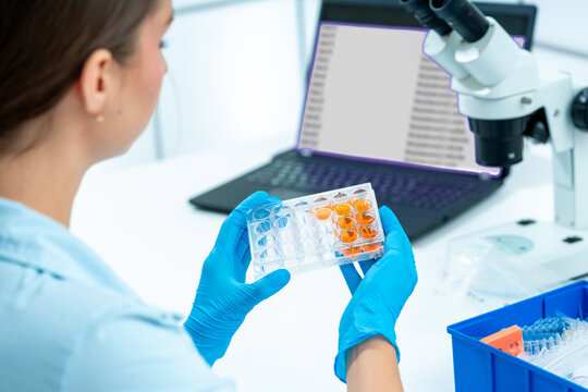 Gene Expression Studies