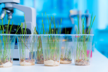 Effect of different light spectrums on plant growth and development: T