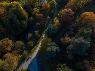 birds eye drone view of car going on road between colorful autumn trees