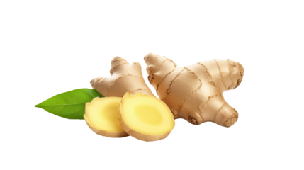 Fresh raw organic ginger on white isolated on clear png background and transparent background. Vegetable and food concept for health, AI generative. 