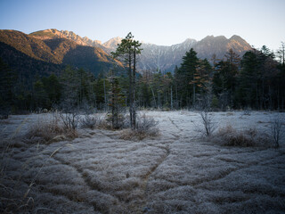 上高地・田代湿原