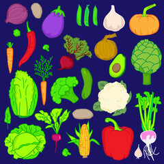 Hand drawn doodle style vegetables set. Tomatoes, cabbage, pea, cucumbers, carrot, eggplant, mushroom etc. Vector illustrations collection isolated on colored background.