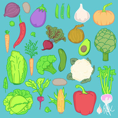 Hand drawn doodle style vegetables set. Tomatoes, cabbage, pea, cucumbers, carrot, eggplant, mushroom etc. Vector illustrations collection isolated on colored background.