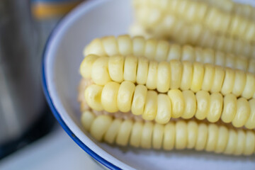 Corn cob called choclo, very popular ingredient in Latin America's recipes