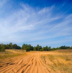 Fototapeta na wymiar wide sandy road through the forest under blue cloudy sky