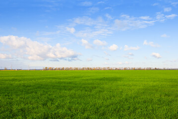 wide green rural field under cloudy sky