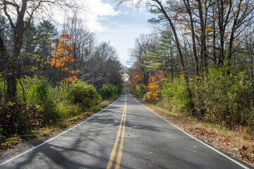 Road in an Adirondack forest in autumn