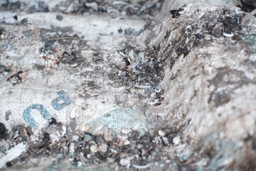 Chicken droppings in the chicken coop sack.
