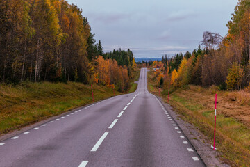 Straße in Schweden – Herbst – Roadtrip 