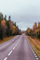 Fototapeta premium Straße in Schweden – Herbst – Roadtrip 