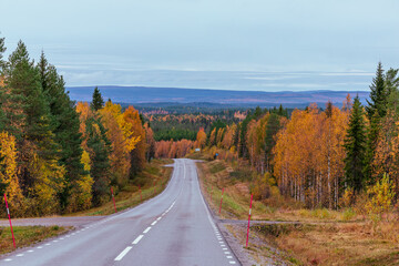 Straße in Schweden – Herbst – Roadtrip 