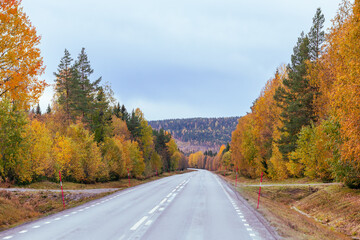 Fototapeta premium Straße in Schweden – Herbst – Roadtrip 