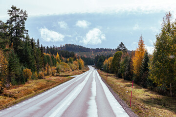 Straße in Schweden – Herbst – Roadtrip 