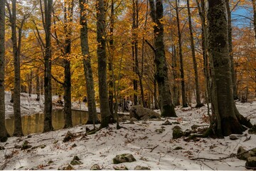 Monte Livata - Campo dell'Osso - Suibiaco - Roma - Lazio. Parco Regionale dei Monti Simbruini