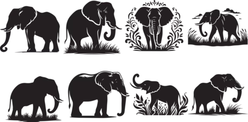 Foto op Aluminium Elephant Silhouette, Elephant  Vector Illustration Isolated White Background © Aleksandar