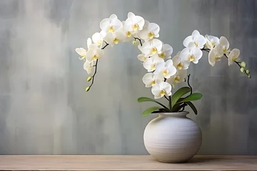Poster white orchid in a pot with a grunge wall background with copyspace © Sri