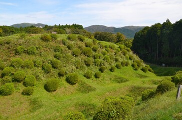 山中城跡 障子堀