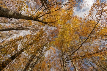 Monte Livata - Campo dell'Osso - Suibiaco - Roma - Lazio. Parco Regionale dei Monti Simbruini