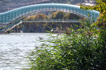 Defocused background with the Peace Bridge in Tbilisi over the Kura River.