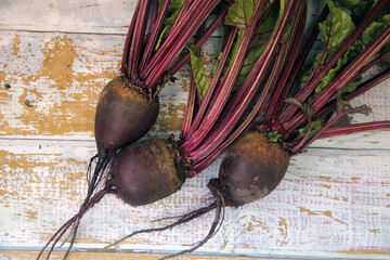 Fresh beets on a wooden surface.  Best diet background.