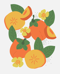Abstract textured slice of persimmon. Art with fruit and leaf in modern retro style. Banner with branch tree. Vector illustration