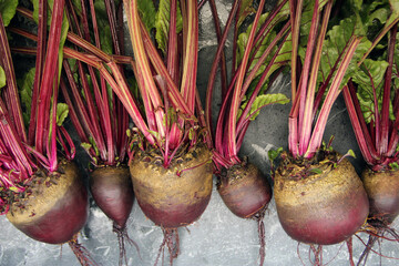 Fresh beets on a wooden surface.  Best diet background.