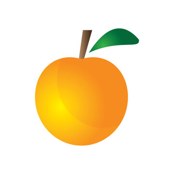 recommend clip art: Fresh orange clip art is suitable for fruit advertisements and lessons for children template vector eps 10