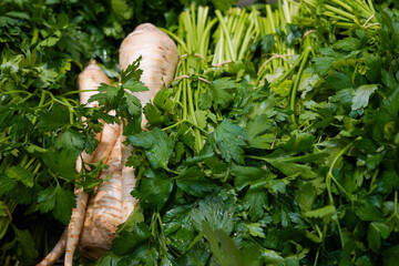 fresh green parsley on the market. Fresh herbs at grocery store