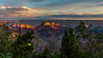 North Rim of the Grand Canyon vista