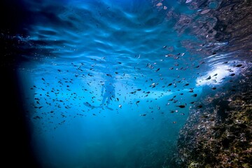 ミナミハタンポ01_熱海_20231103