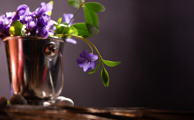 Beautiful periwinkle flower in a silver vase close up. Spring seasonal Floral background with empty space for text.