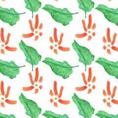 Seamless pattern of elements with springflowers and leaves. Hand drawn watercolor illustration isolated on white background