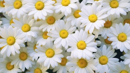 up fresh macro background close illustration texture design, summer spring, bright light up fresh macro background close