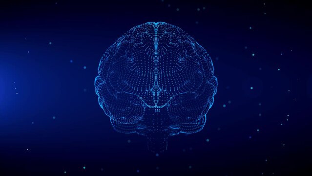 Blue Shine Human Brain Anatomy Wireframe Hologram Scanning Effects With Light Flare Glitter Particles 3d Rotating Motion View, Last 20 Seconds Seamless Loop