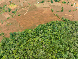 The biggest cause of forest loss is agricultural deforestation ,environmental damage in Southeast...