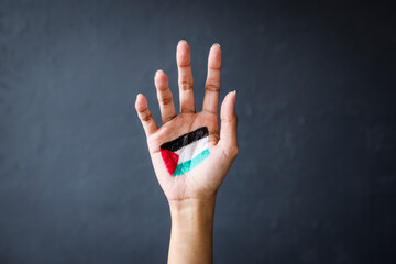 Hand painted with Palestinian flag isolated over dark gray background - obrazy, fototapety, plakaty