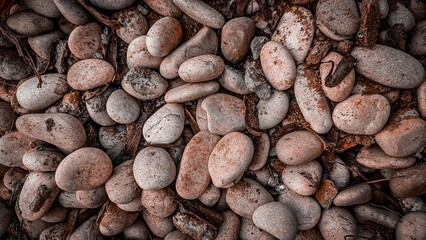 a background of river rocks and a little sand