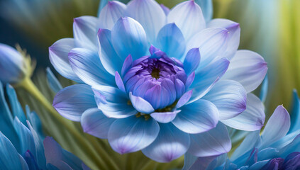 Beautiful flowers blooming in blue - obrazy, fototapety, plakaty