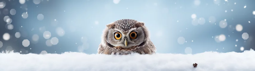 Photo sur Plexiglas Dessins animés de hibou Banner with cute owl on snowy winter nature background. Generative AI
